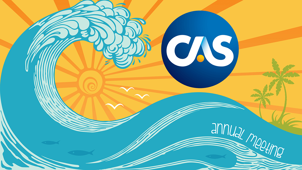 conference branding and presentation graphics, digital