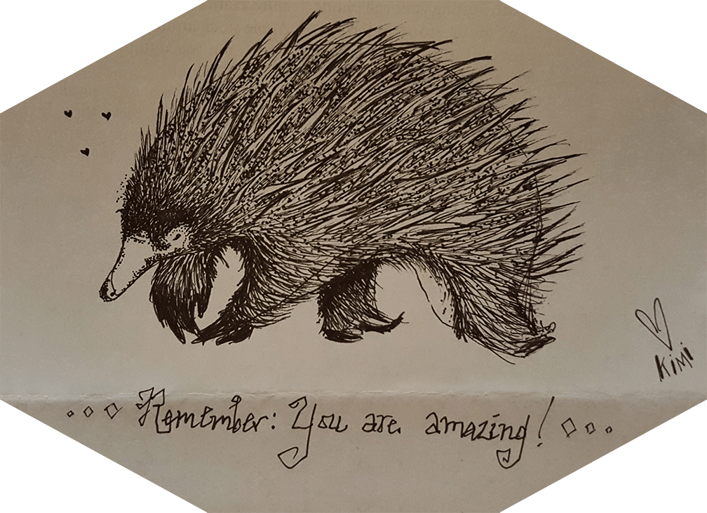 Echidna, pen and ink