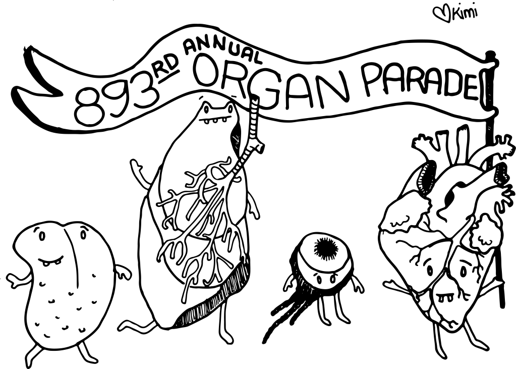 893rd Annual Organ Parade, pen and ink